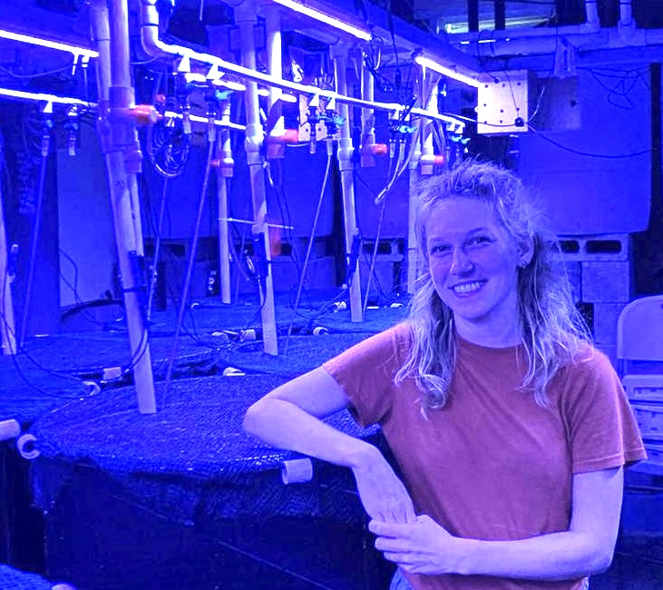 Hannah von Hammerstein